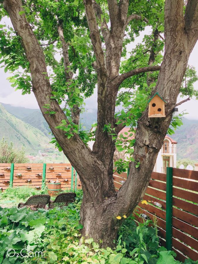Greenhill Kazbegi Dış mekan fotoğraf